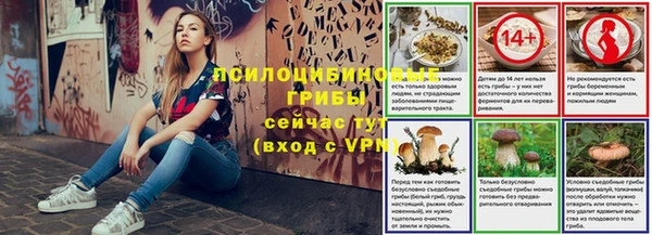 амф Осинники