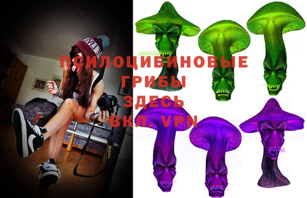 амф Осинники