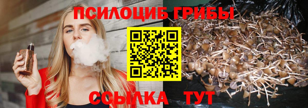 Псилоцибиновые грибы ЛСД  Вход с VPN  Абакан 